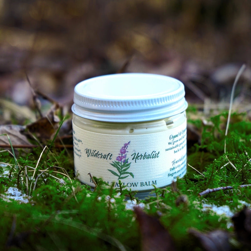 Herbal Tallow Balm