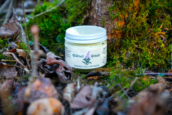 Herbal Tallow Balm